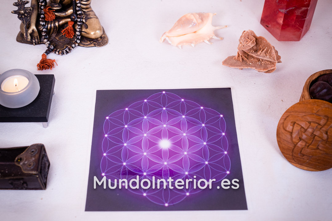 Ilustración potenciadora para Parrillas de Reiki :: Flor de la Vida - Imagen 3