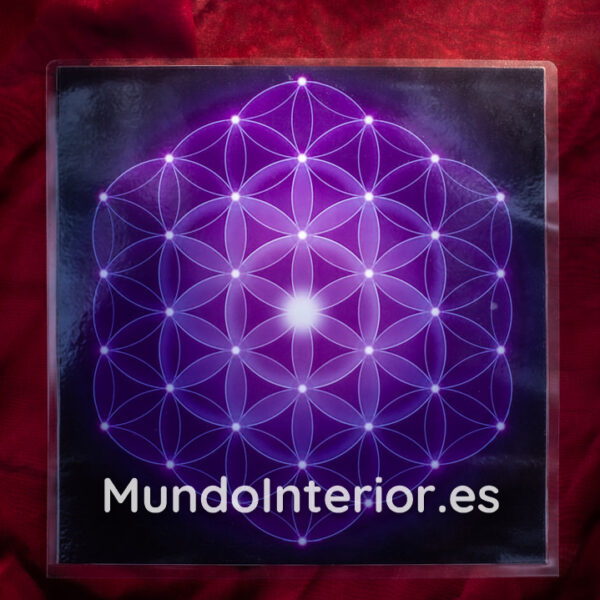 Ilustración potenciadora para Parrillas de Reiki :: Flor de la Vida