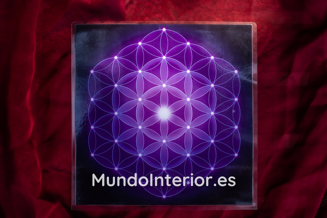 Ilustración potenciadora para Parrillas de Reiki :: Flor de la Vida - Imagen 2