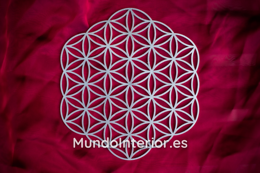 Parrilla de Reiki :: Flor de la Vida (20 cm) - Imagen 2